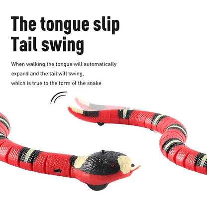 Fun Feline Play Toys