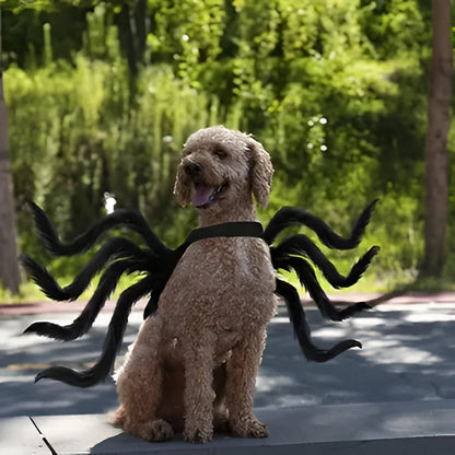 Hilarious Spider Pet Costume