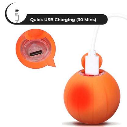 Limited Edition Fun Pet Ball