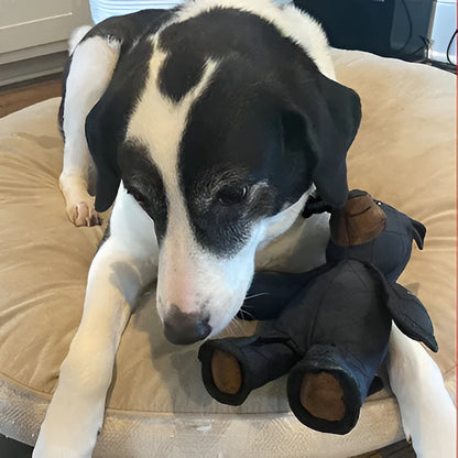 Durable Fun Bear Dog Chew Toys For Aggressive Chewers
