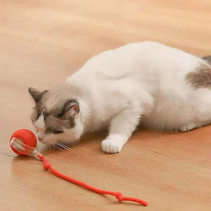 Fun Electronic Pet Play Ball