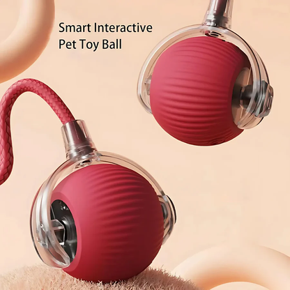 Fun Electronic Pet Play Ball
