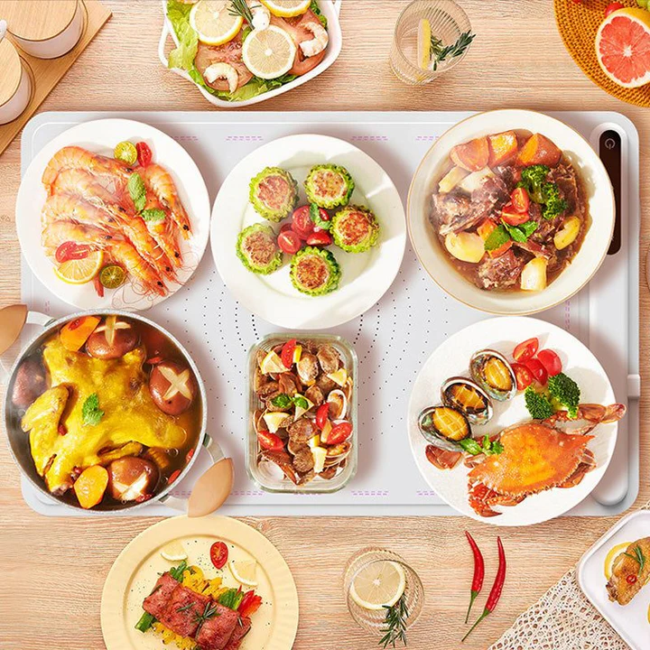 Heated Food Serving Tray