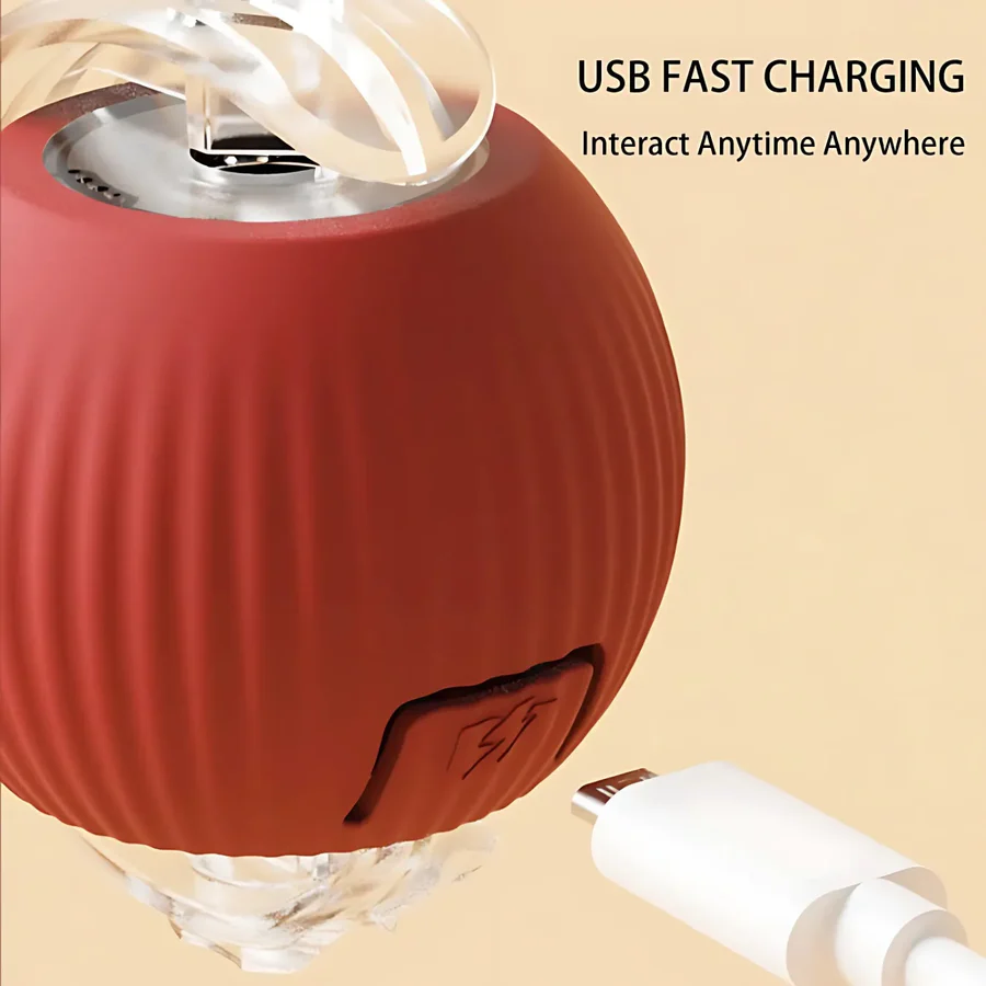 Fun Electronic Pet Play Ball