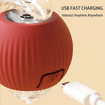 Fun Electronic Pet Play Ball