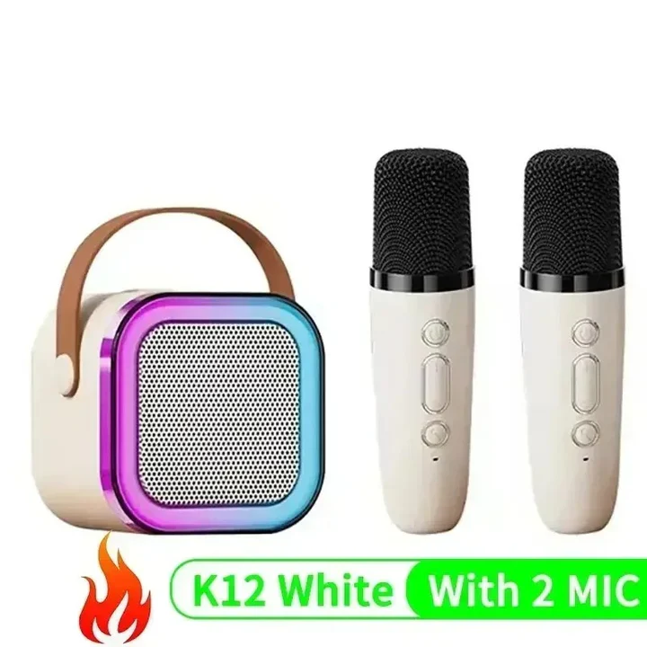 Compact Karaoke System With Dual Mics