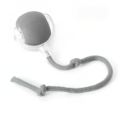 Fun Electronic Pet Play Ball