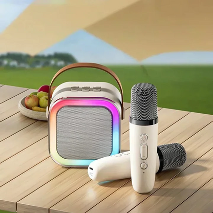 Compact Karaoke System With Dual Mics