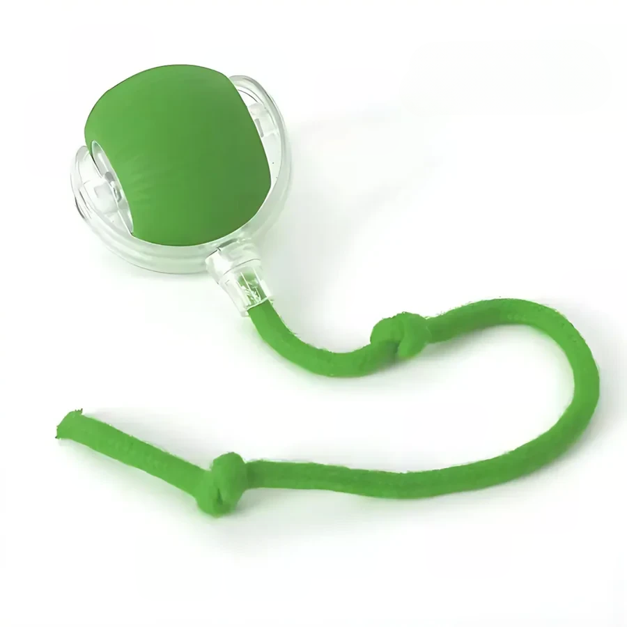 Fun Electronic Pet Play Ball