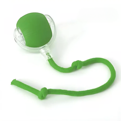 Fun Electronic Pet Play Ball