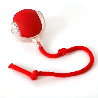 Fun Electronic Pet Play Ball