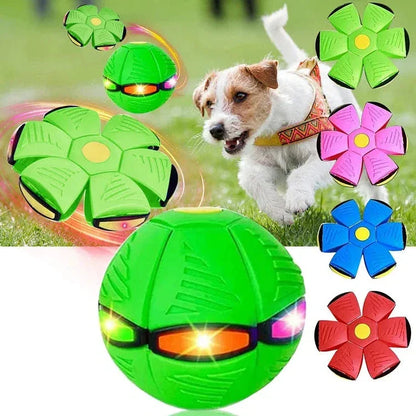 Fun Interactive Bouncy Dog Toy