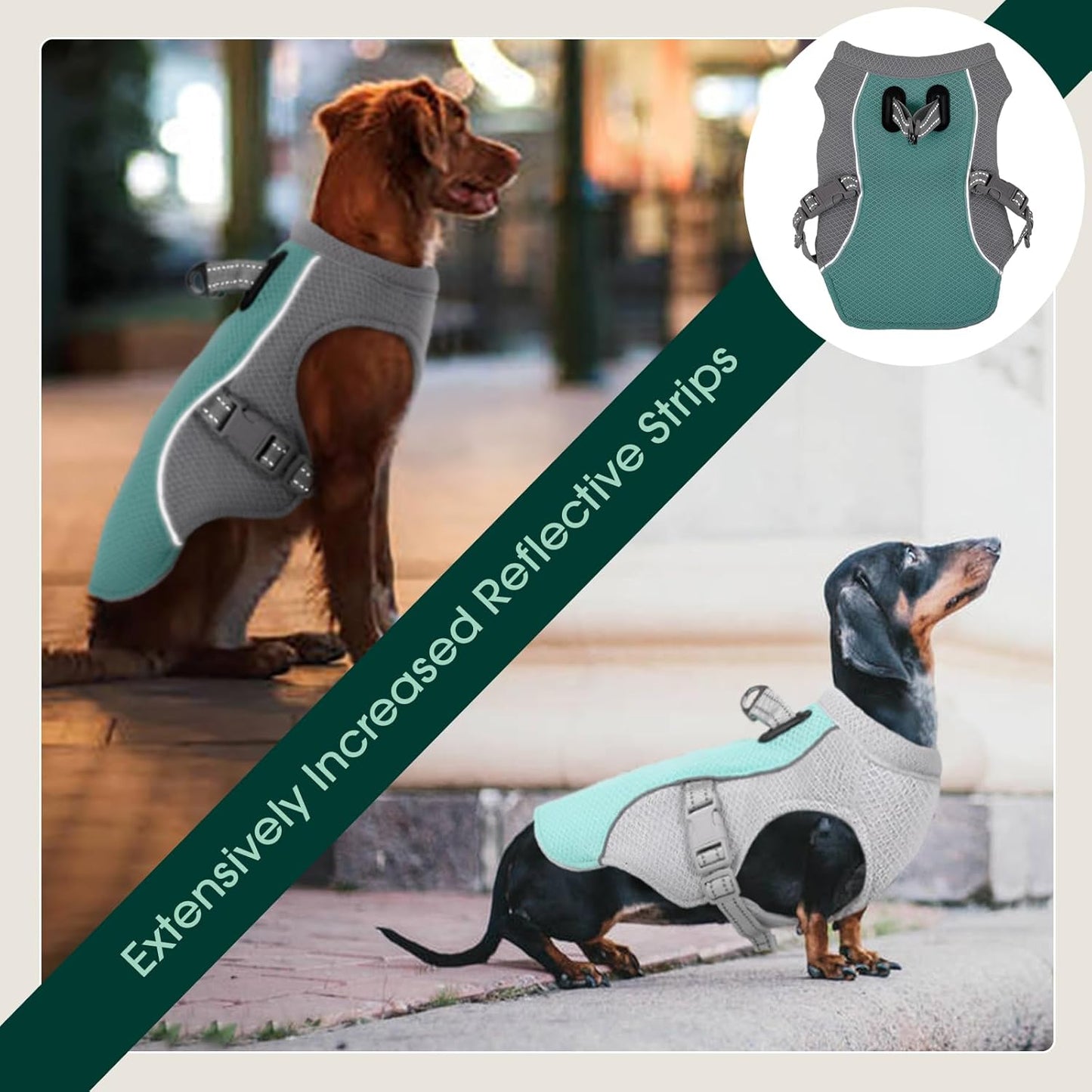 Breathable Cooling Dog Vest & Easy Release Harness