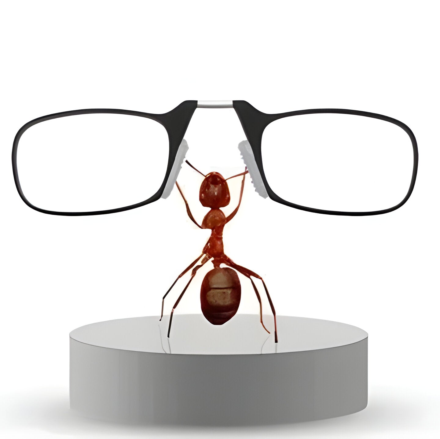 Compact Travel Folding Glasses