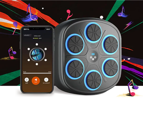 Fun Electronic Boxing Trainer Set