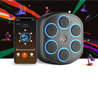 Fun Electronic Boxing Trainer Set