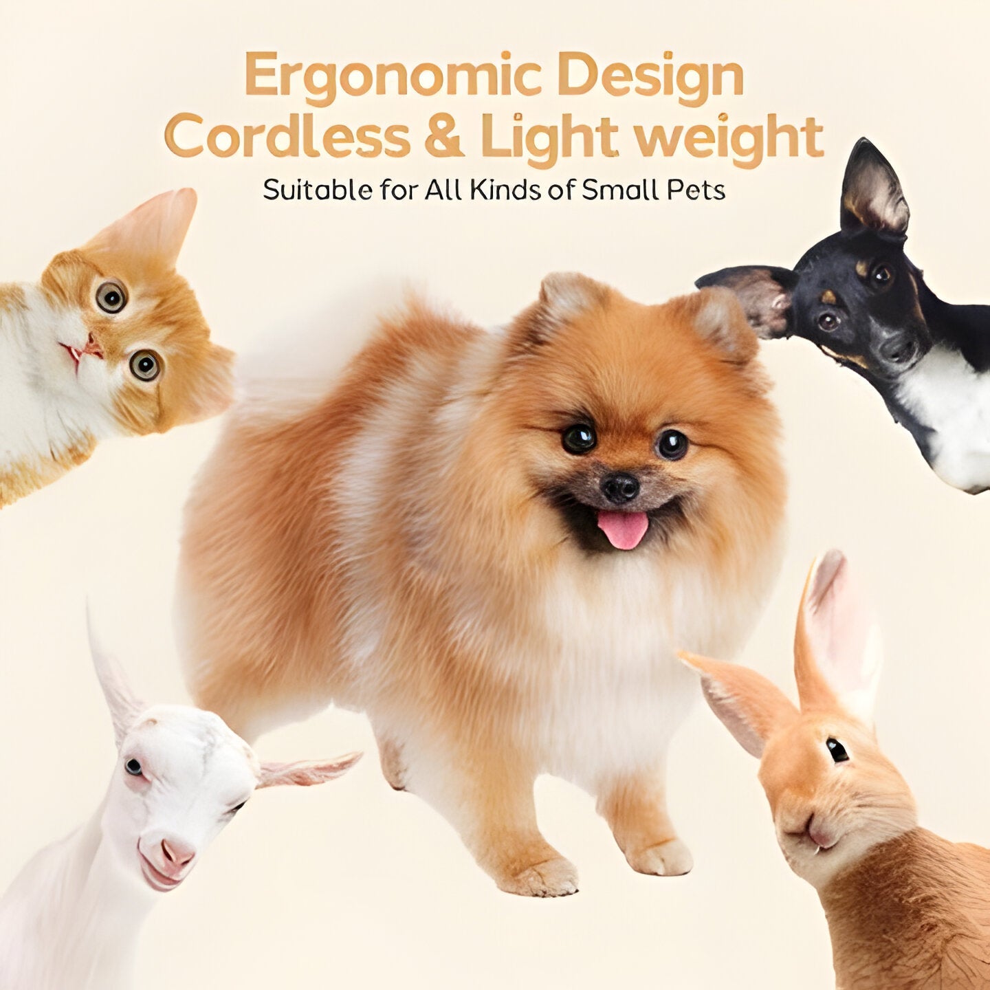 Pet Grooming Hair Cutting Set