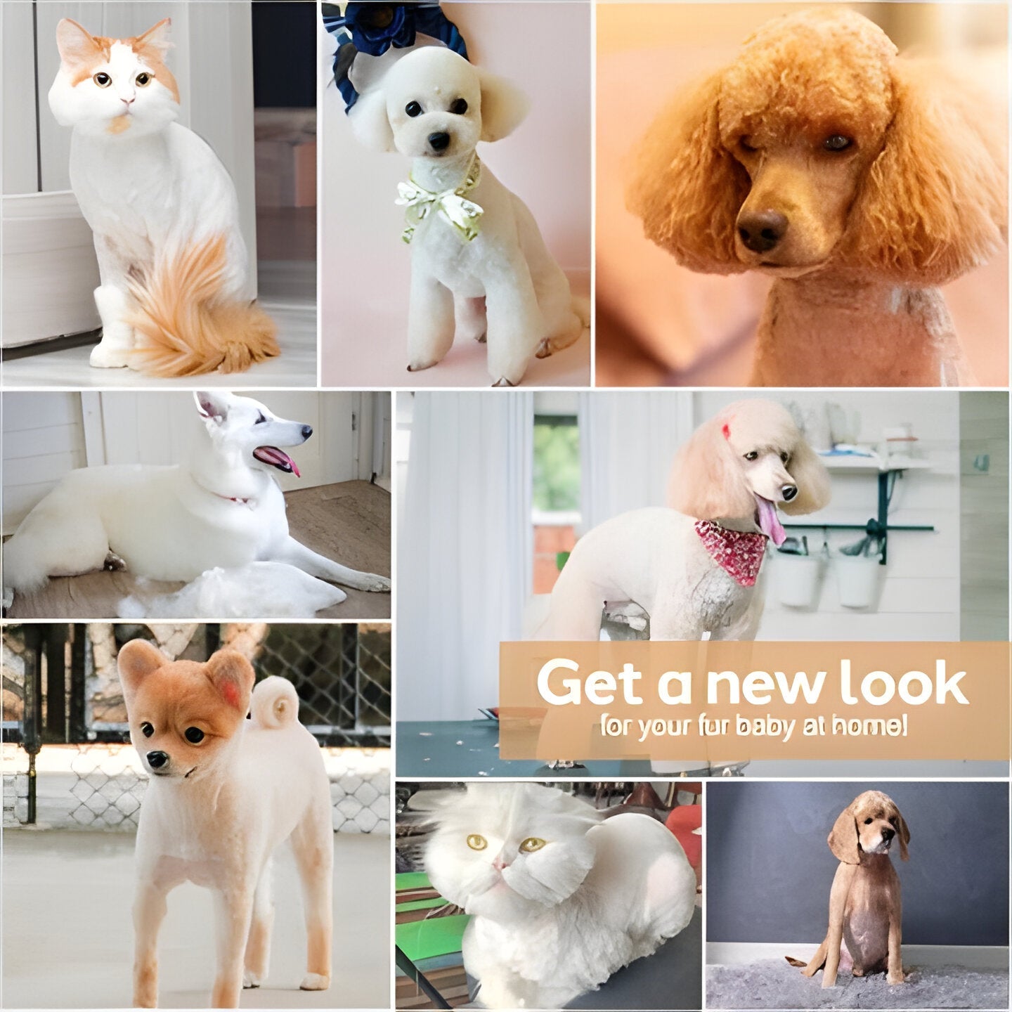 Pet Grooming Hair Cutting Set
