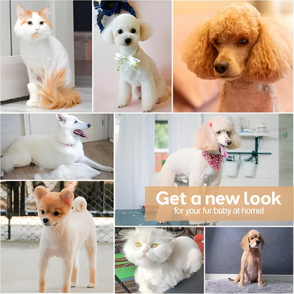 Pet Grooming Hair Cutting Set