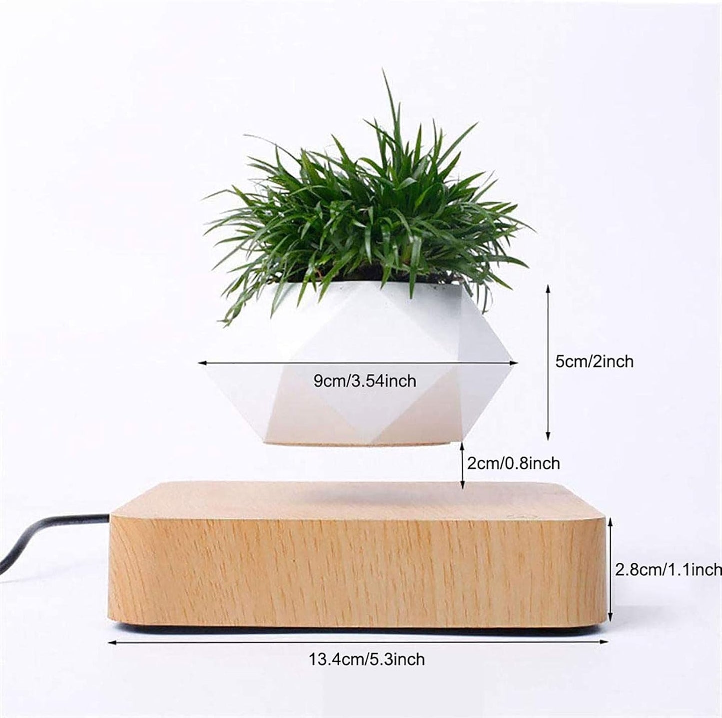 Floating Magnetic Self Watering Pot