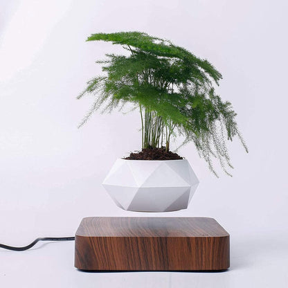 Floating Magnetic Self Watering Pot - Hehif