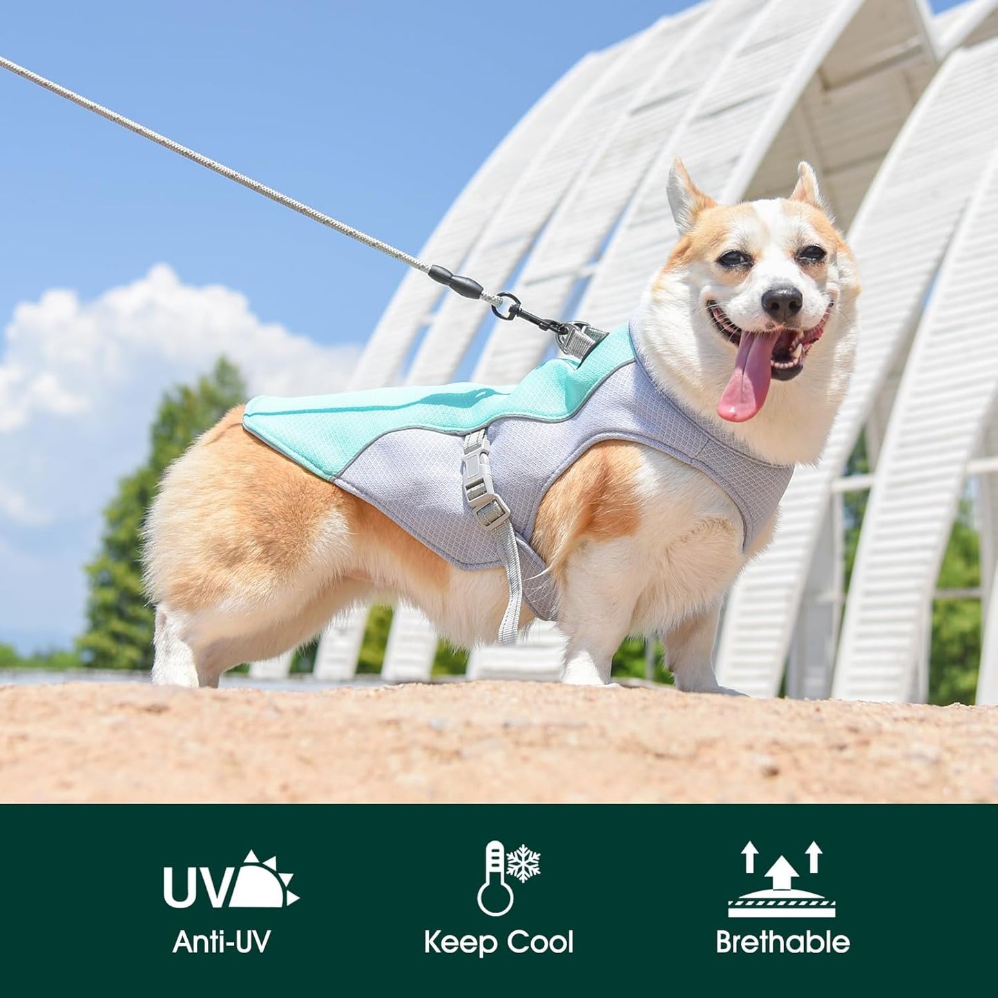 Breathable Cooling Dog Vest & Easy Release Harness