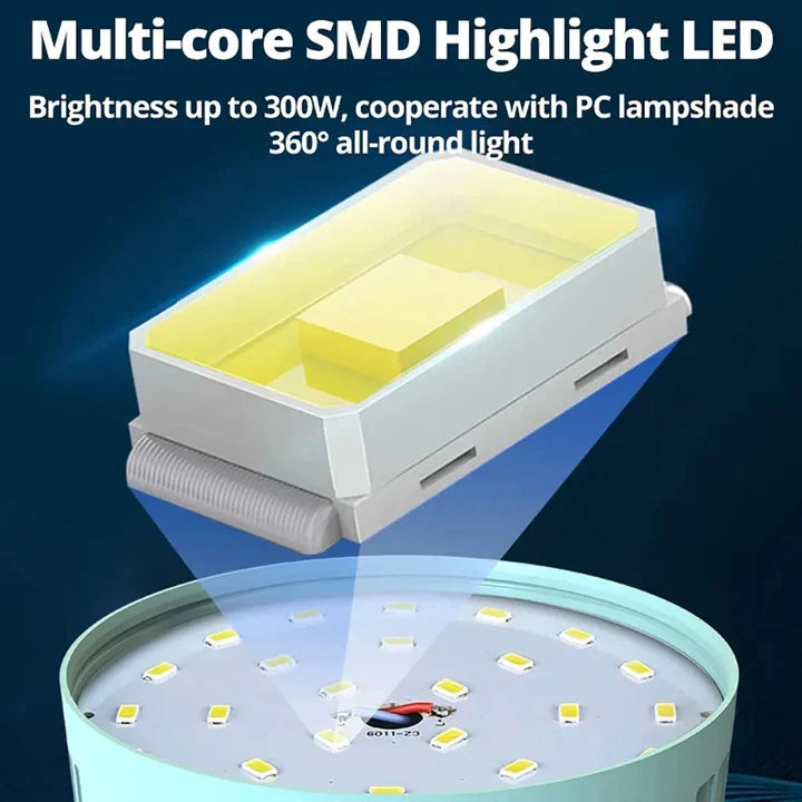 Portable Outdoor LED Light