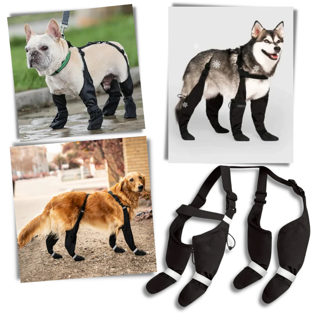 Water Resistant Pet Rain Boots - Hehif