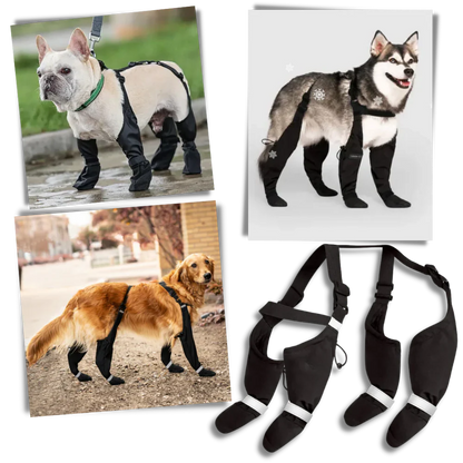 Water Resistant Pet Rain Boots - Hehif