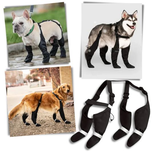 Water Resistant Pet Rain Boots - Hehif