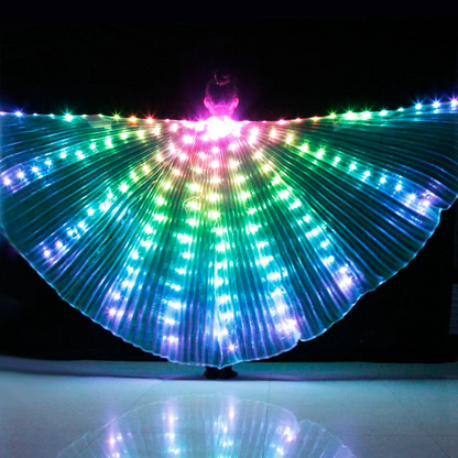 Glowing LED Fashion Wear