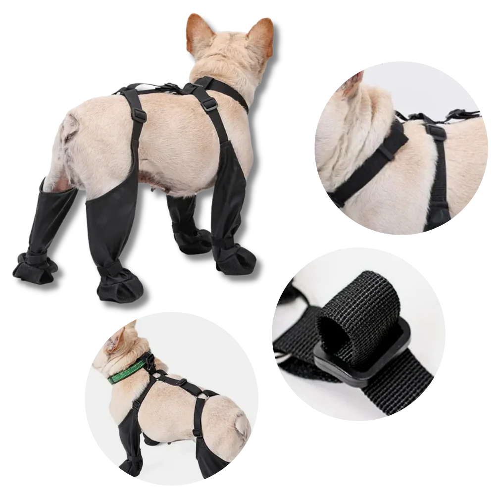 Water Resistant Pet Rain Boots
