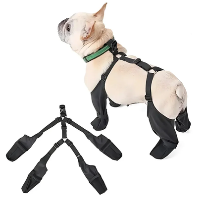 Waterproof Puppy High Top Boots with Grip Soles