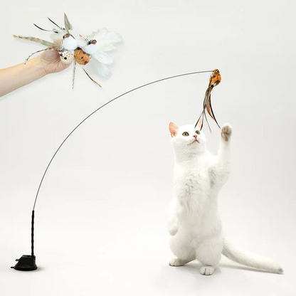 Fun Feather Teaser Cat Toy Set - Hehif