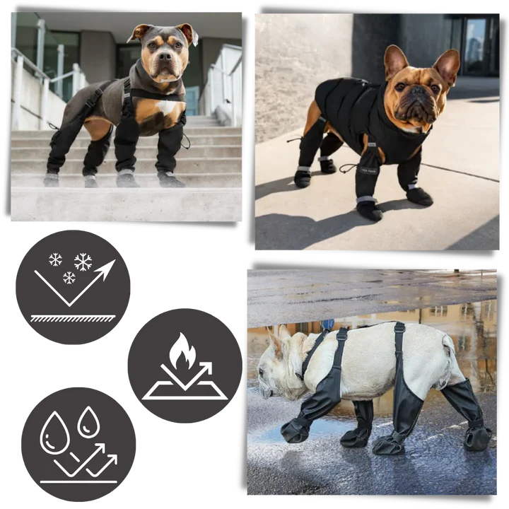 Water Resistant Pet Rain Boots