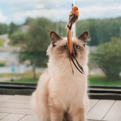 Fun Feather Teaser Cat Toy Set