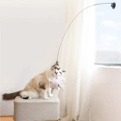 Fun Feather Teaser Cat Toy Set
