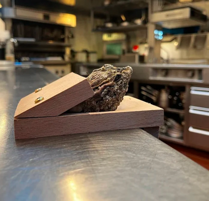 Easy Shellfish Opening Tool
