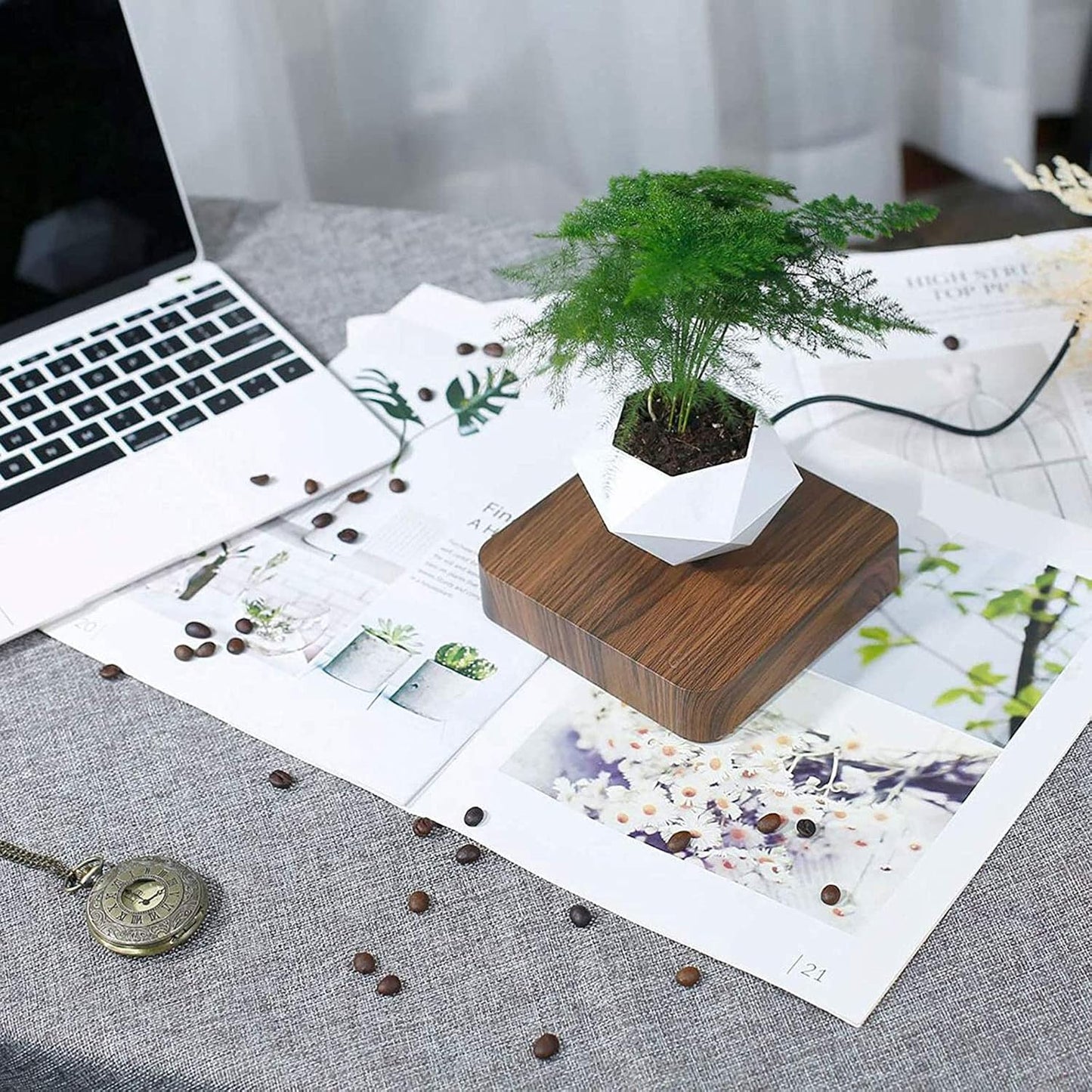 Floating Magnetic Self Watering Pot