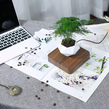 Floating Magnetic Self Watering Pot