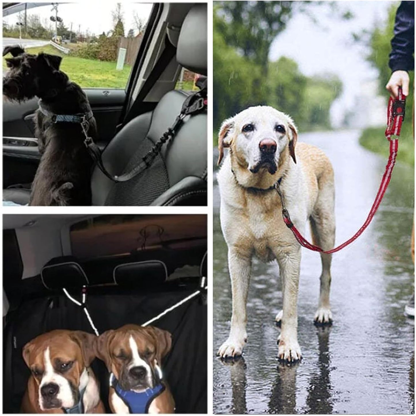 Safe Pet Car Harness Seatbelt with Adjustable Strap