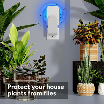 Effective Insect Catcher Trap
