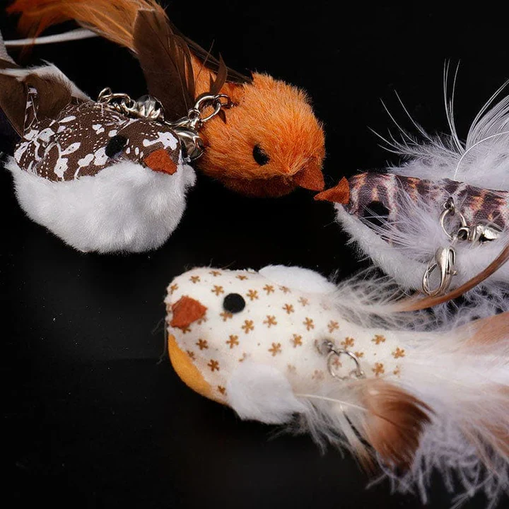 Fun Feather Teaser Cat Toy Set