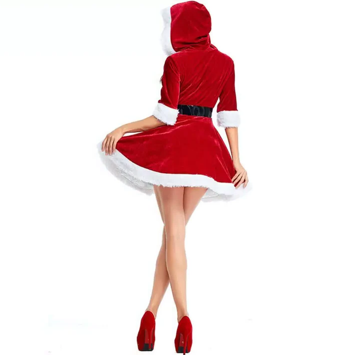 Fun Festive Santa Lady Dress