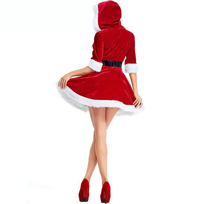 Fun Festive Santa Lady Dress