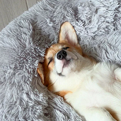 Comfortable Pet Sleeping Bed