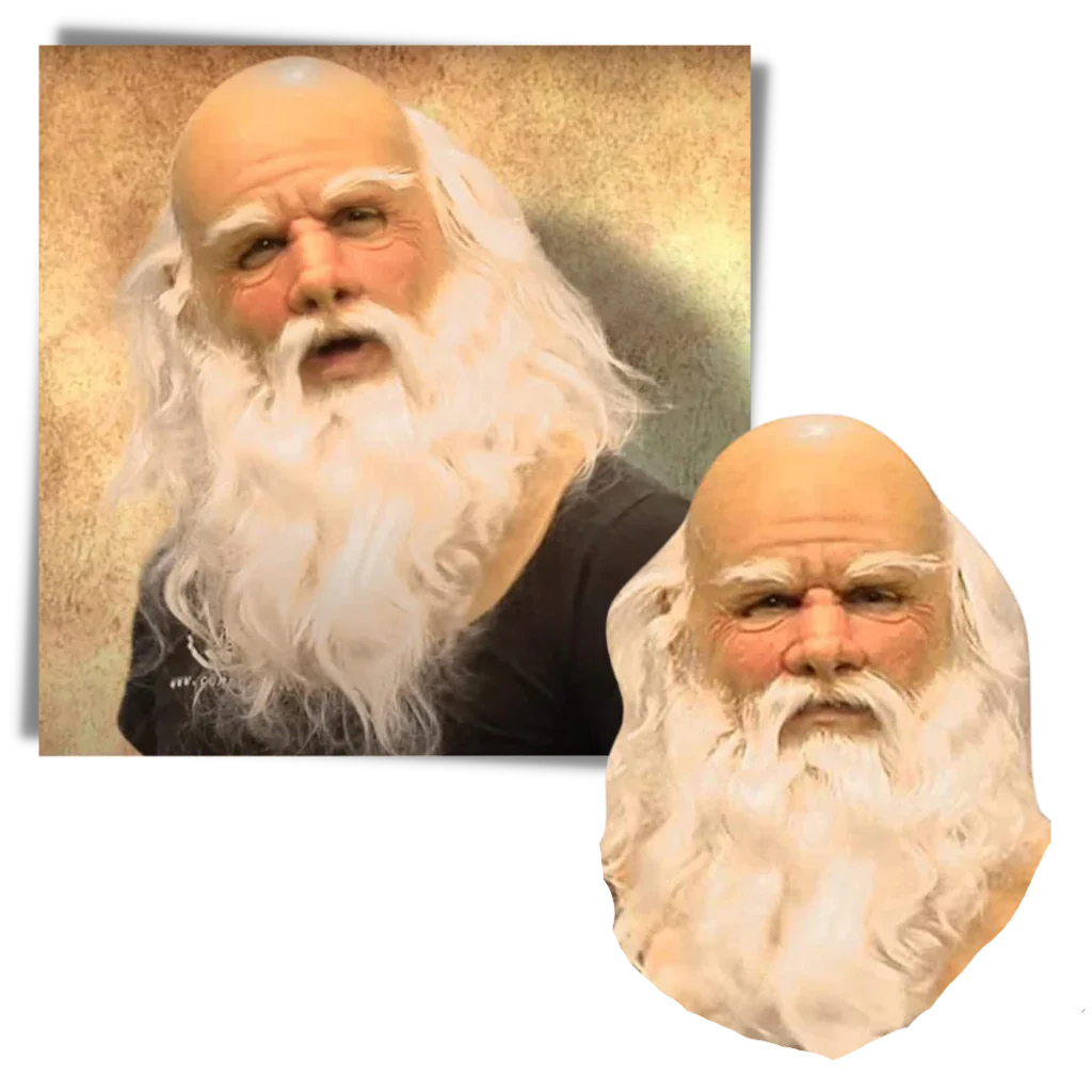 Funny Christmas Santa Face Mask