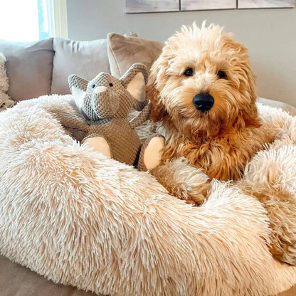 Comfortable Pet Sleeping Bed