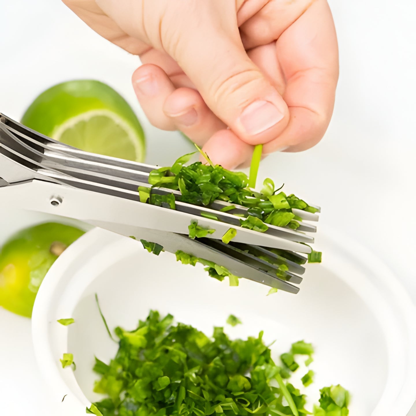 Sharp 5 Blade Food Cutting Scissors
