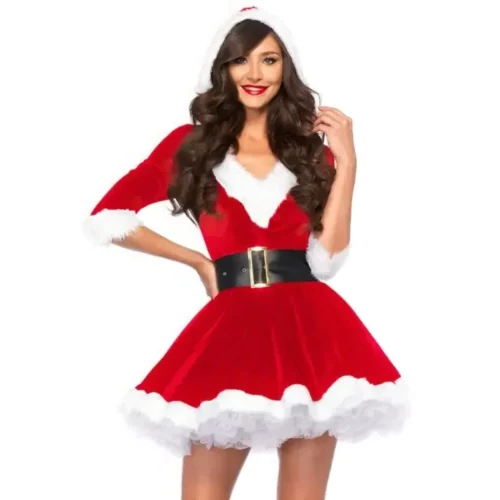Fun Festive Santa Lady Dress